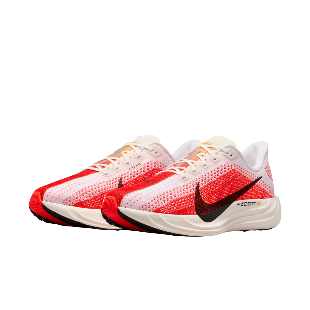NIKE - Men's Pegasus Plus